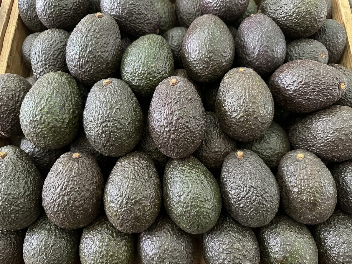 Aguacate