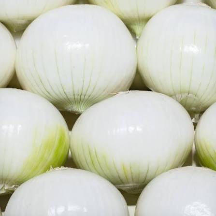 Cebolla