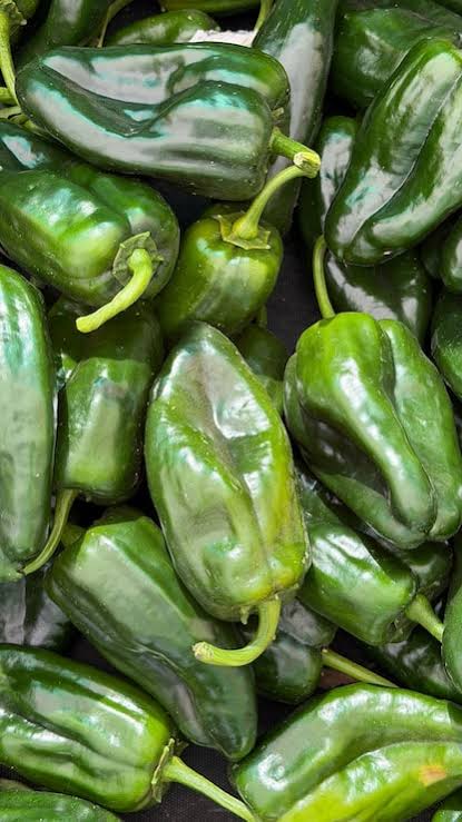 Chile Ancho