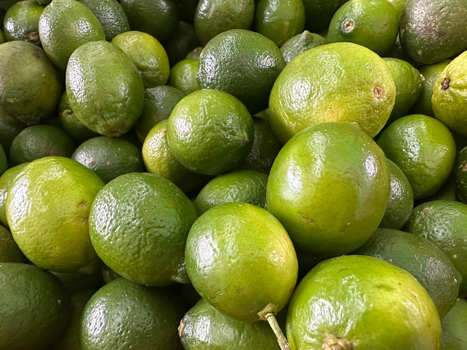 Limón
