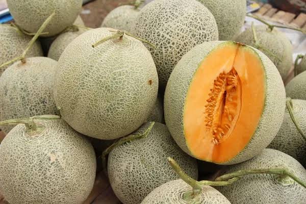 Melón
