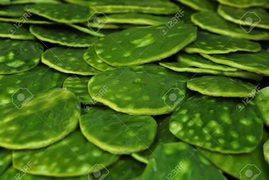Nopal