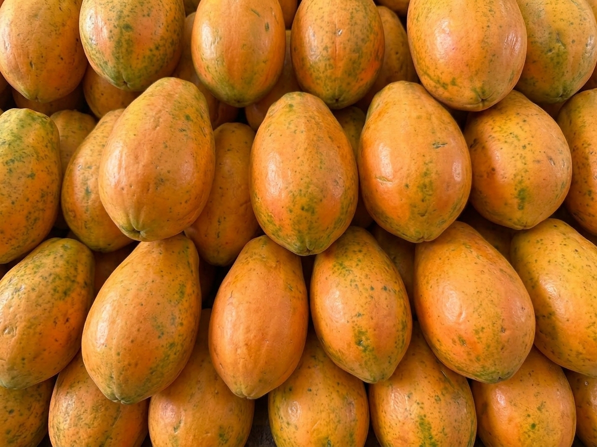 Papaya